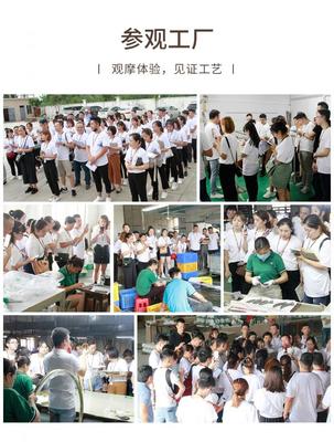 蛻變季 米蘇燈飾M6+超級(jí)盈利系統(tǒng)第六期特訓(xùn)營順利閉營，文化經(jīng)紀(jì)人服務(wù)賦能行業(yè)新生態(tài)